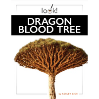 Dragon Blood Tree - Library Binding
