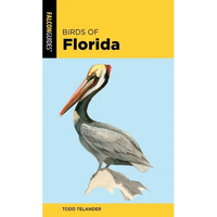 Birds of Florida - Paperback