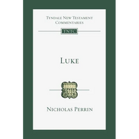 Luke: An Introduction and Commentary - Paperback