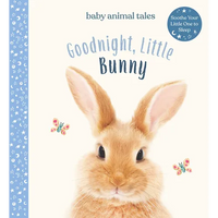 Goodnight, Little Bunny: A Board Book - Hardcover