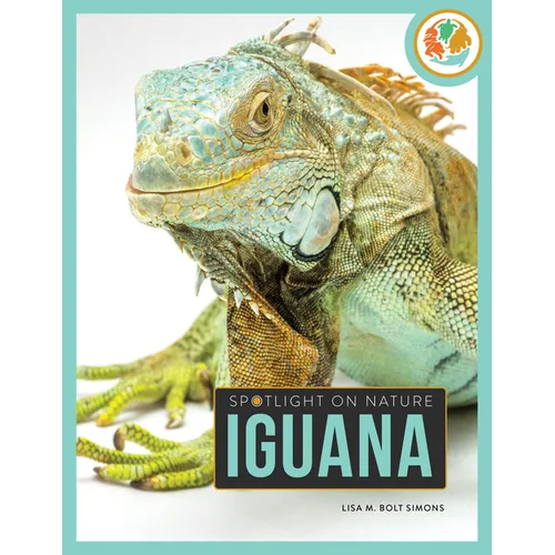 Iguana