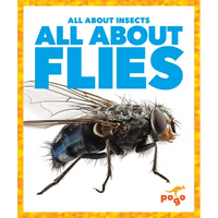 All about Flies - Paperback