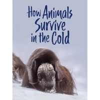 How Animals Survive in the Cold: English Edition - Paperback
