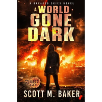 A World Gone Dark: Ravaged Skies - Paperback