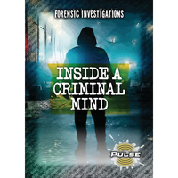 Inside a Criminal Mind - Paperback