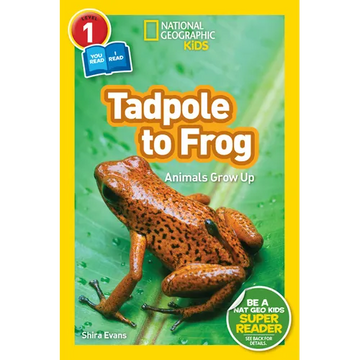 Tadpole to Frog (National Geographic Kids Readers, Level 1/Co-Reader): Animals Grow Up - Paperback