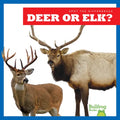 Deer or Elk?