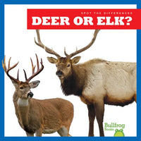 Deer or Elk? - Library Binding