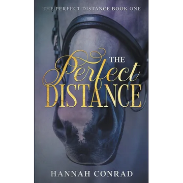The Perfect Distance - Paperback