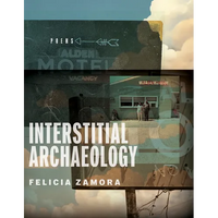 Interstitial Archaeology - Paperback