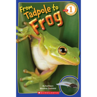 From Tadpole to Frog (Scholastic Reader, Level 1) - Paperback