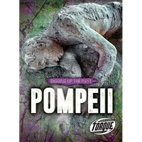 Pompeii - Library Binding