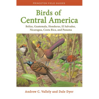 Birds of Central America: Belize, Guatemala, Honduras, El Salvador, Nicaragua, Costa Rica, and Panama - Paperback