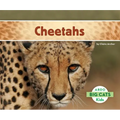 Cheetahs