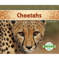 Cheetahs - Library Binding