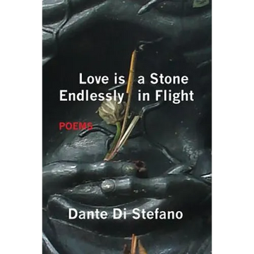Love Is a Stone Endlessly in Flight: Poems - Paperback