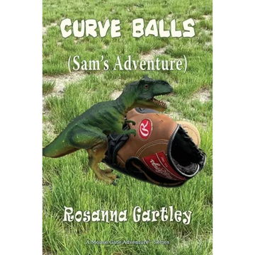 Curve Balls: Sam's Adventure - Paperback