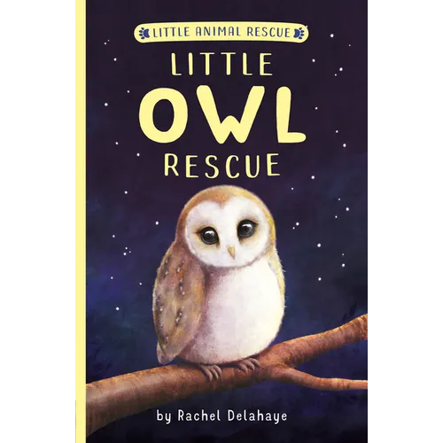 Little Owl Rescue