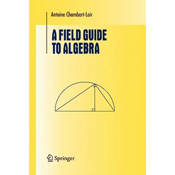 A Field Guide to Algebra - Paperback