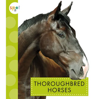 Thoroughbred Horses - Paperback