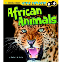 African Animals - Paperback