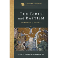 The Bible and Baptism: The Fountain of Salvation - Paperback