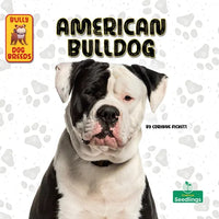 American Bulldog - Paperback