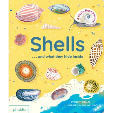 Shells... and What They Hide Inside: A Lift-The-Flap Adventure - Board Book