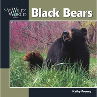 Black Bear - Paperback
