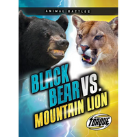 Black Bear vs. Mountain Lion - Paperback