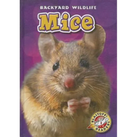 Mice - Library Binding