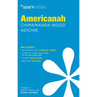 Americanah Sparknotes Literature Guide - Paperback