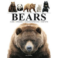 Bears - Paperback