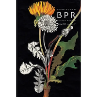 Birmingham Poetry Review - Paperback