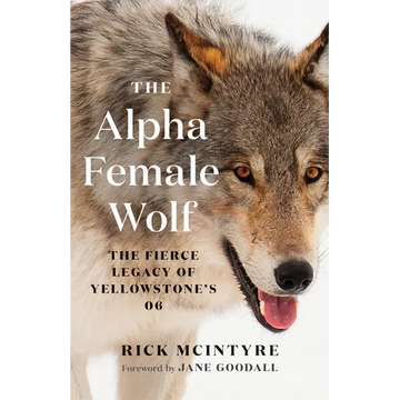 The Alpha Female Wolf: The Fierce Legacy of Yellowstone's 06 - Paperback