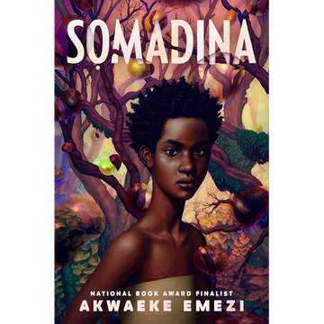 Somadina - Paperback