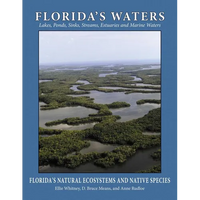 Florida's Waters - Paperback