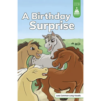 A Birthday Surprise - Paperback