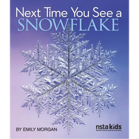 Next Time You See a Snowflake - Paperback