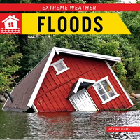 Floods - Paperback
