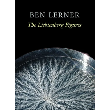 The Lichtenberg Figures - Paperback