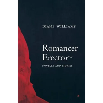 Romancer Erector - Paperback