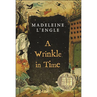 A Wrinkle in Time - Hardcover
