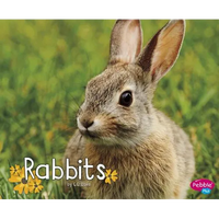 Rabbits - Paperback