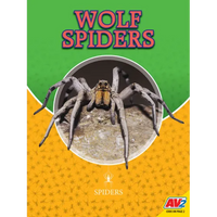 Wolf Spiders - Library Binding