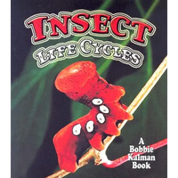 Insect Life Cycles - Paperback