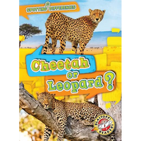 Cheetah or Leopard? - Library Binding
