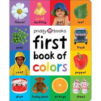 First 100 Book of Colors: A Padded Book--Perfect for Little Hands to Hold - Board Book