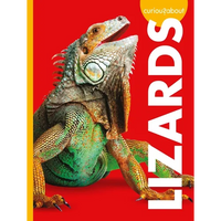 Curious about Lizards - Paperback