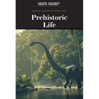 Prehistoric Life - Paperback